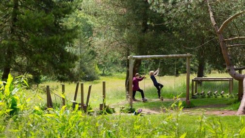 Children playing in the park at Knightshayes